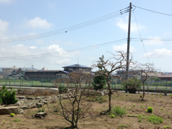 塩害事例写真