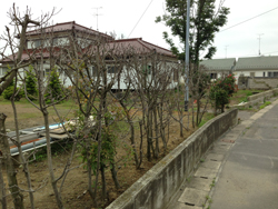 塩害事例写真