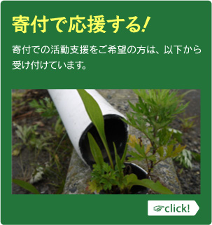 塩害って？