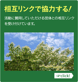 樹木医が描く未来